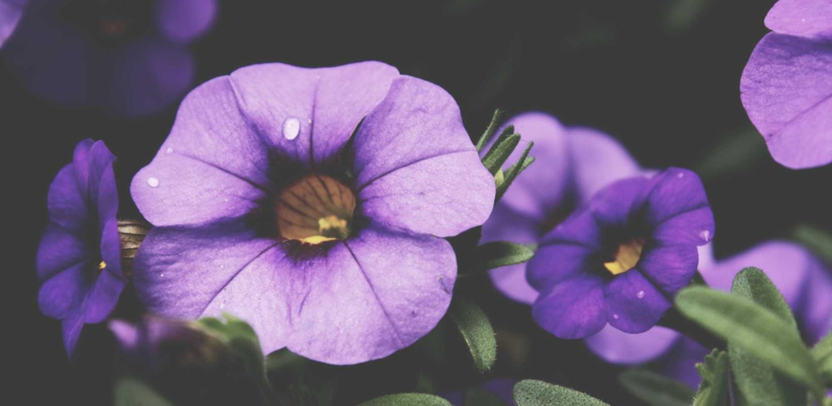 短信营销流程与实施方案编制