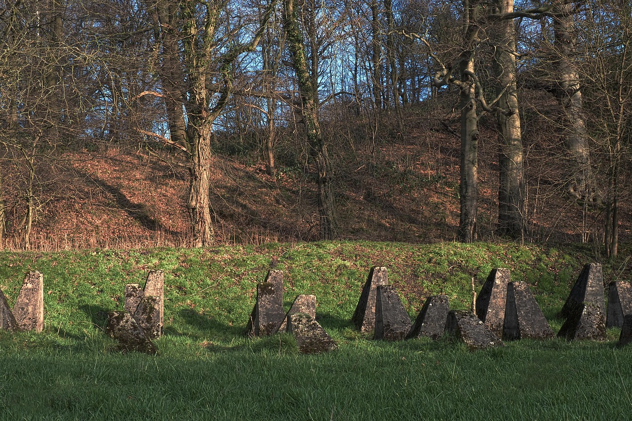 珍爱网实名账号：详情下载教程居业就职App