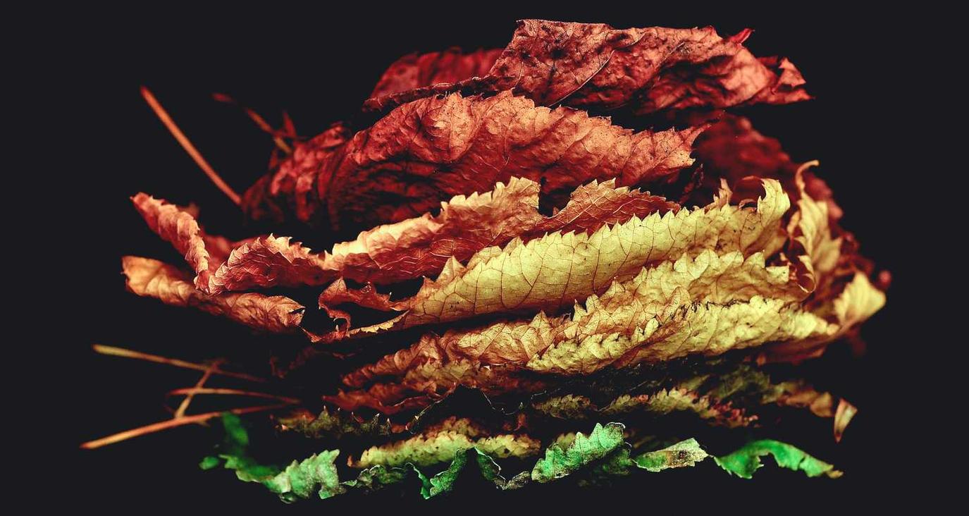 在线双语服务团队：深广注册公司代理