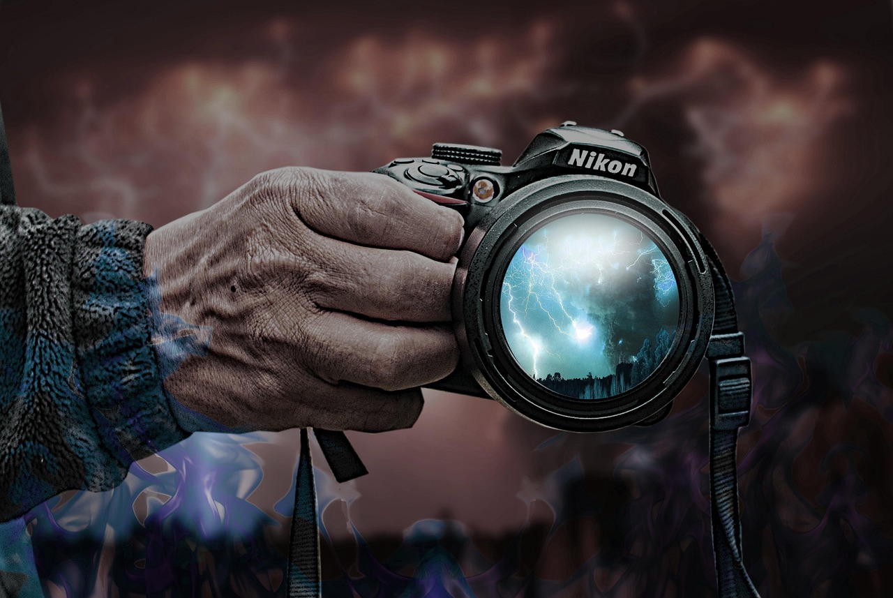 三牛盆景网上购买平台